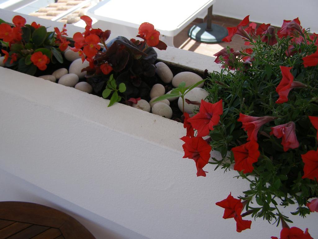 Palastura Apartments Ulcinj Buitenkant foto
